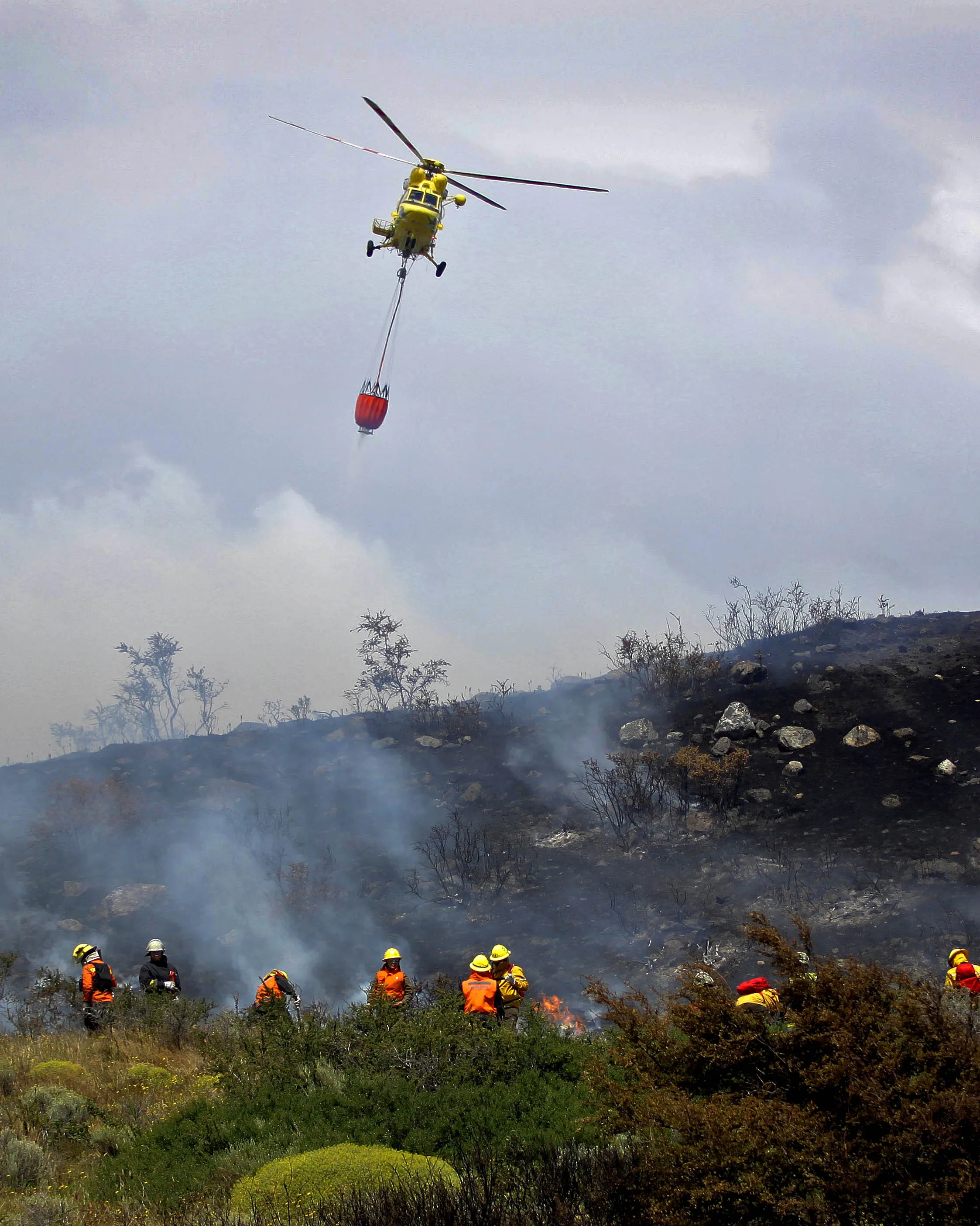 Ajuts per al foment de les actuacions de les agrupacions de defensa forestal (ADF) 2020 