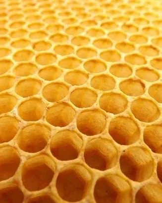 Ajuts destinats a la millora de la producció i la comercialització dels productes de l'apicultura 2020 Ajuts destinats a la millora de la producció i la comercialització dels productes de l'apicultura 2020