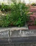 Assenyala les plantes del voltant de casa teva.