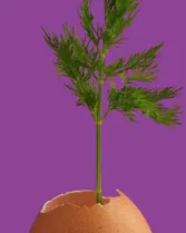 Ajudes a projectes inclusius de la Fundación Universia i Fundación Konecta 2020