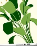 T'esperen 30 tallers sobre educació ambiental.