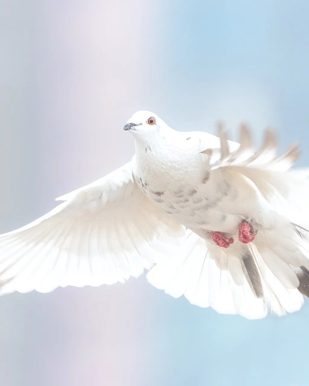 Imatge de michel kwan a Pixabay 