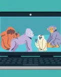 Introducció a la primatologia.