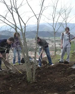 Ajuts a entitats sense ànim de lucre del tercer sector ambiental de Catalunya afectades econòmicament per la COVID-19