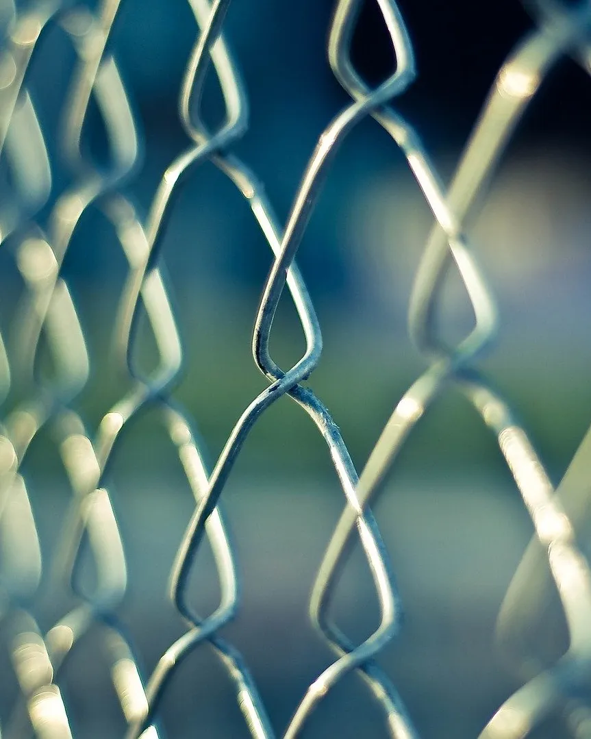 Imatge de Free-Photos a Pixabay 