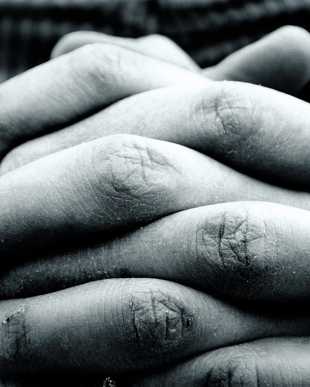 Imatge de Jenny Friedrichs a Pixabay 