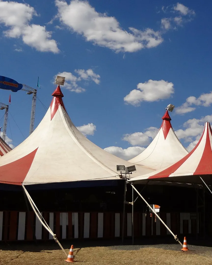 Imatge de Claudio Kirner a Pixabay 