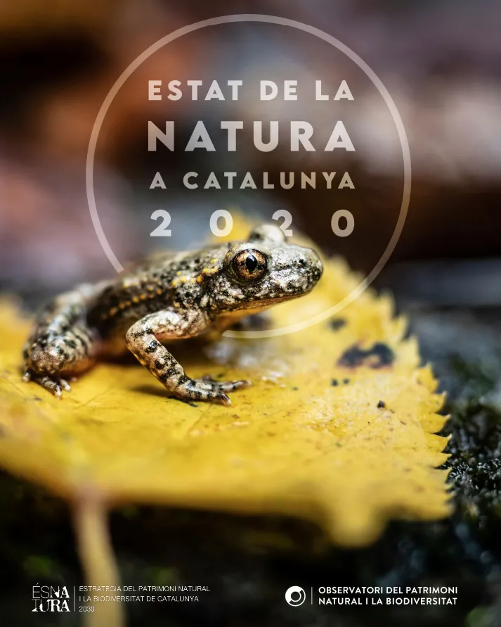 captura_de_pantalla_2020-12-16_a_las_18.02.52.png