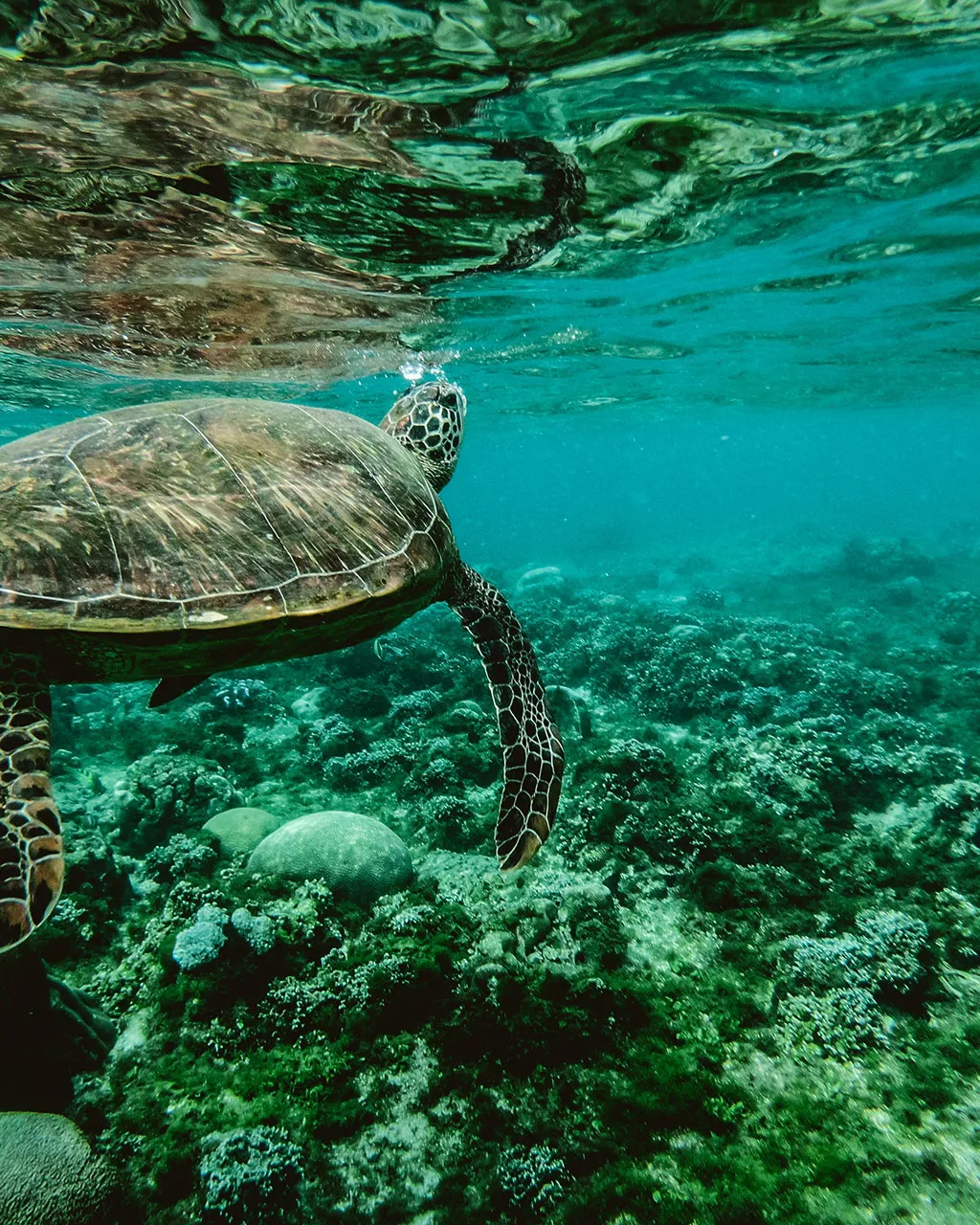 Convocatòria 'Santander for the Seas' de la Fundación Banco Santander 2021