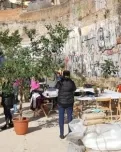 L'espai Benet Corner acull moltes de les activitats a l'aire llliure de la Fundació Comtal.