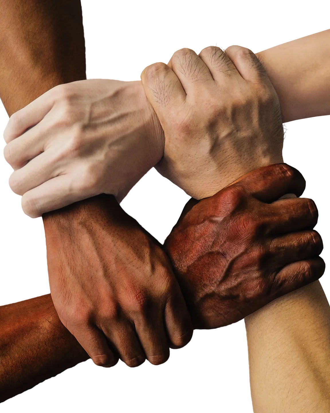 Imatge de truthseeker08 a Pixabay 