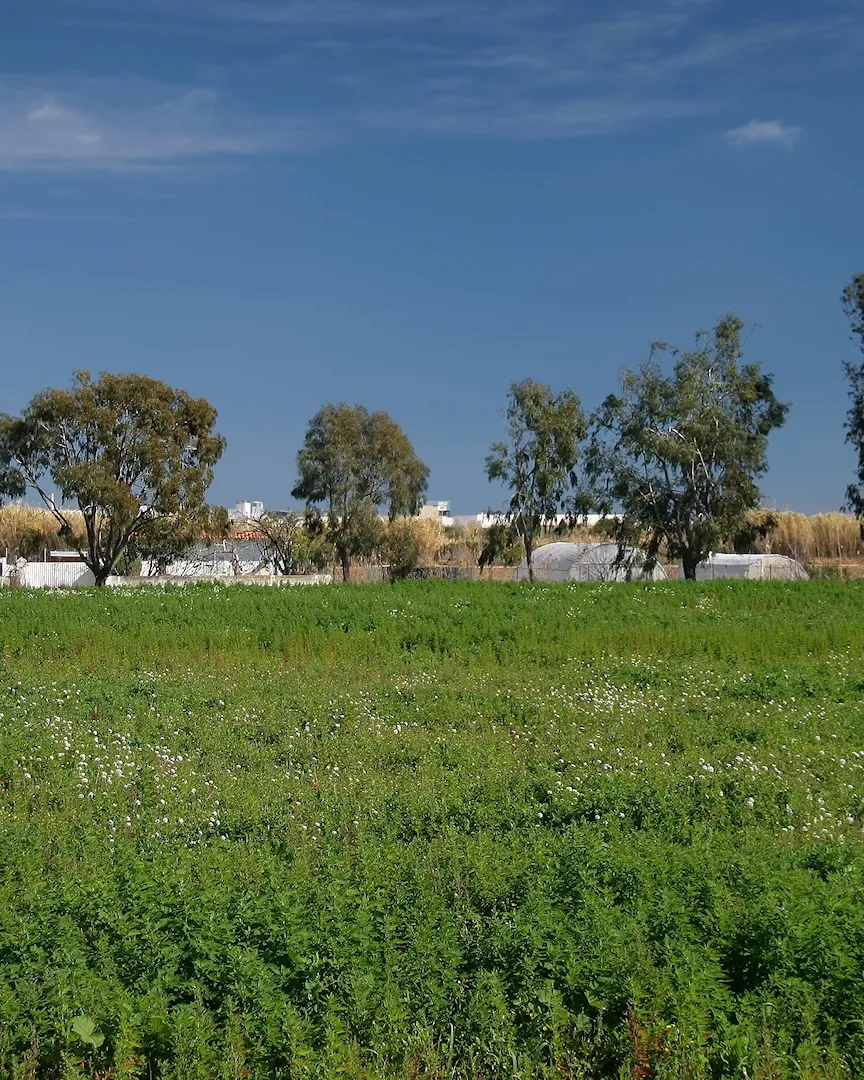 Parc Agrari del Baix Llobregat - Wikimedia Commons