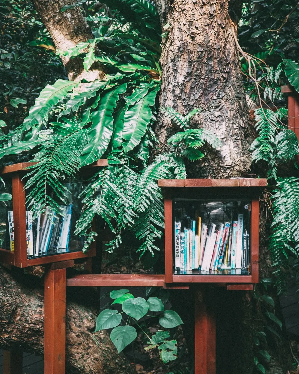 Foto de Hitoshi Suzuki a Unsplash