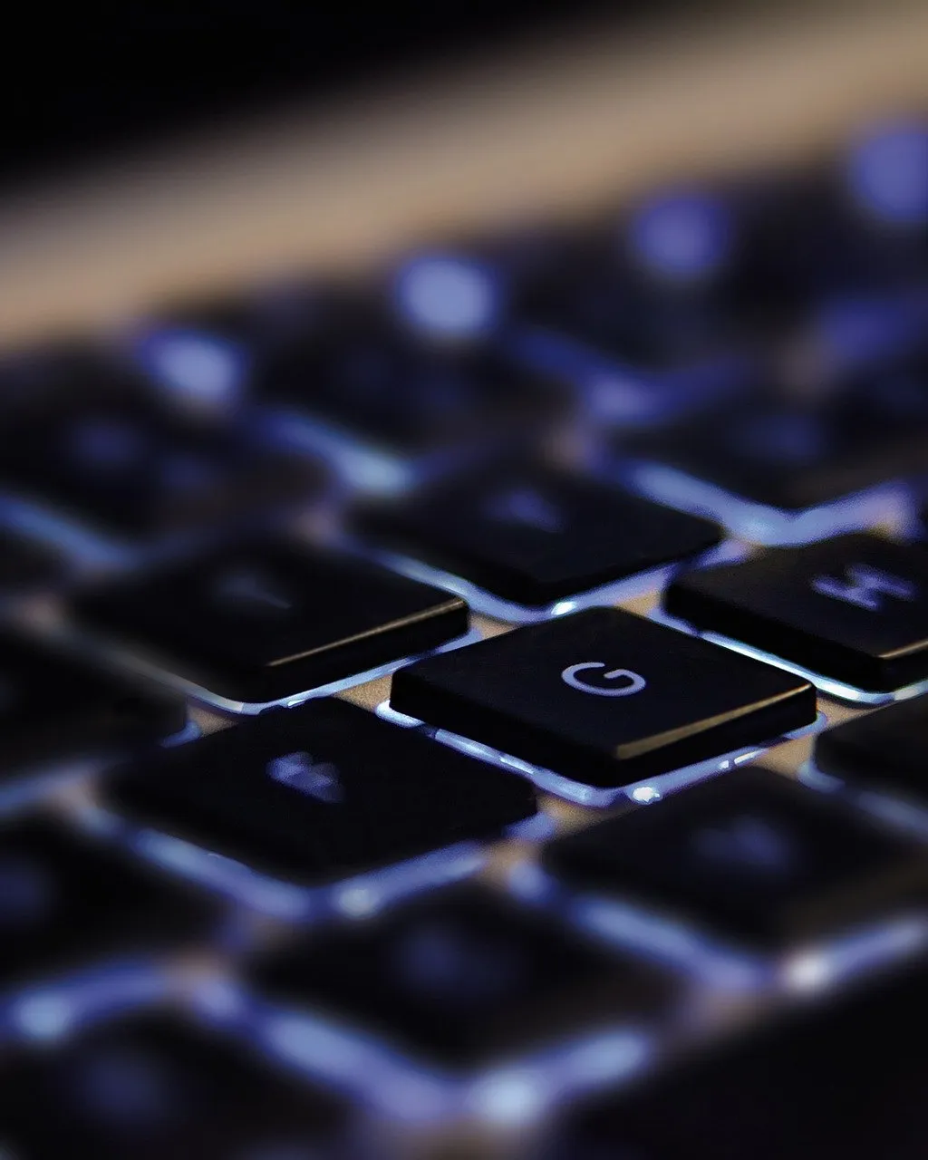 Imatge de Daniel Agrelo a Pixabay 