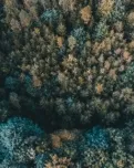 Una oportunitat per viure la natura de ple i descobrir què fan els boscos per tu.