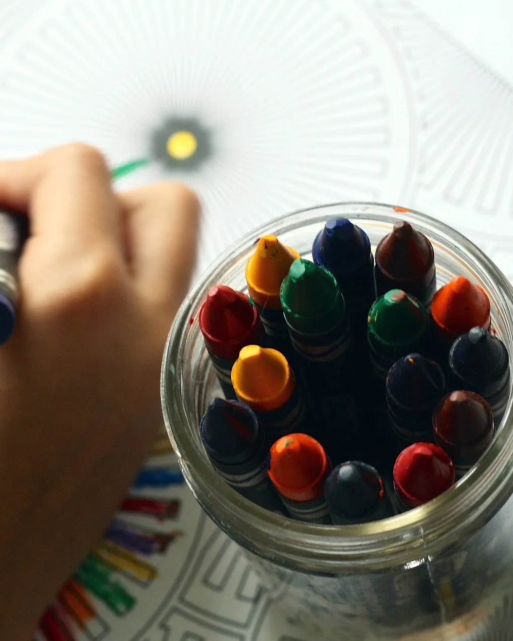 Imatge de Aline Ponce a Pixabay 