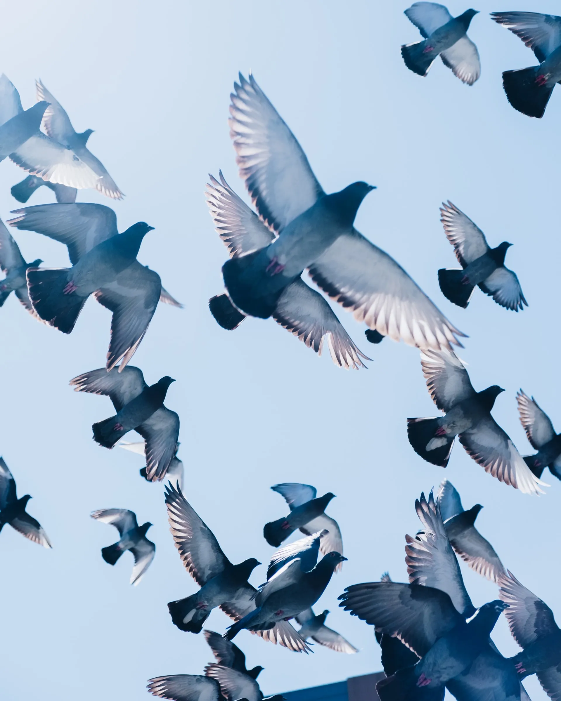 Foto de Zac Ong a Unsplash Foto de Zac Ong a Unsplash