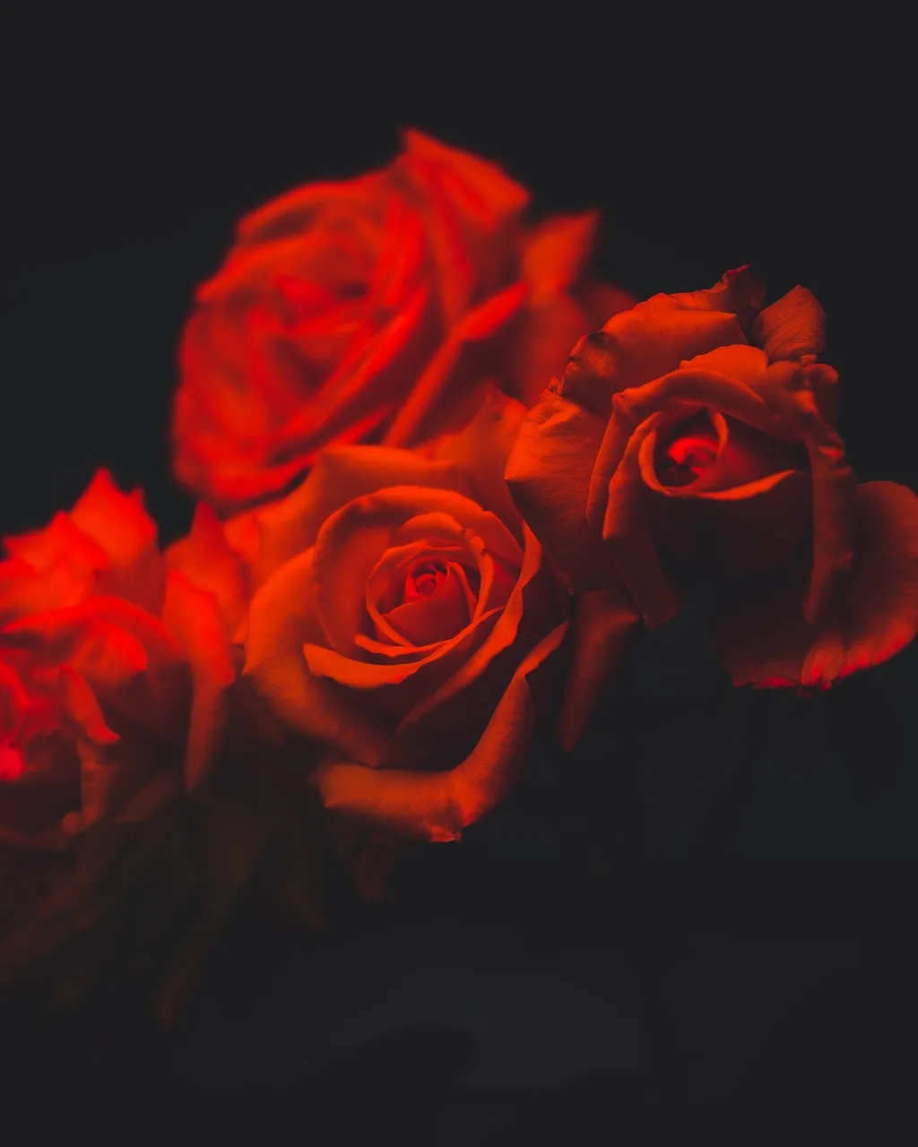 Foto de Gian D. a Unsplash Foto de Gian D. a Unsplash