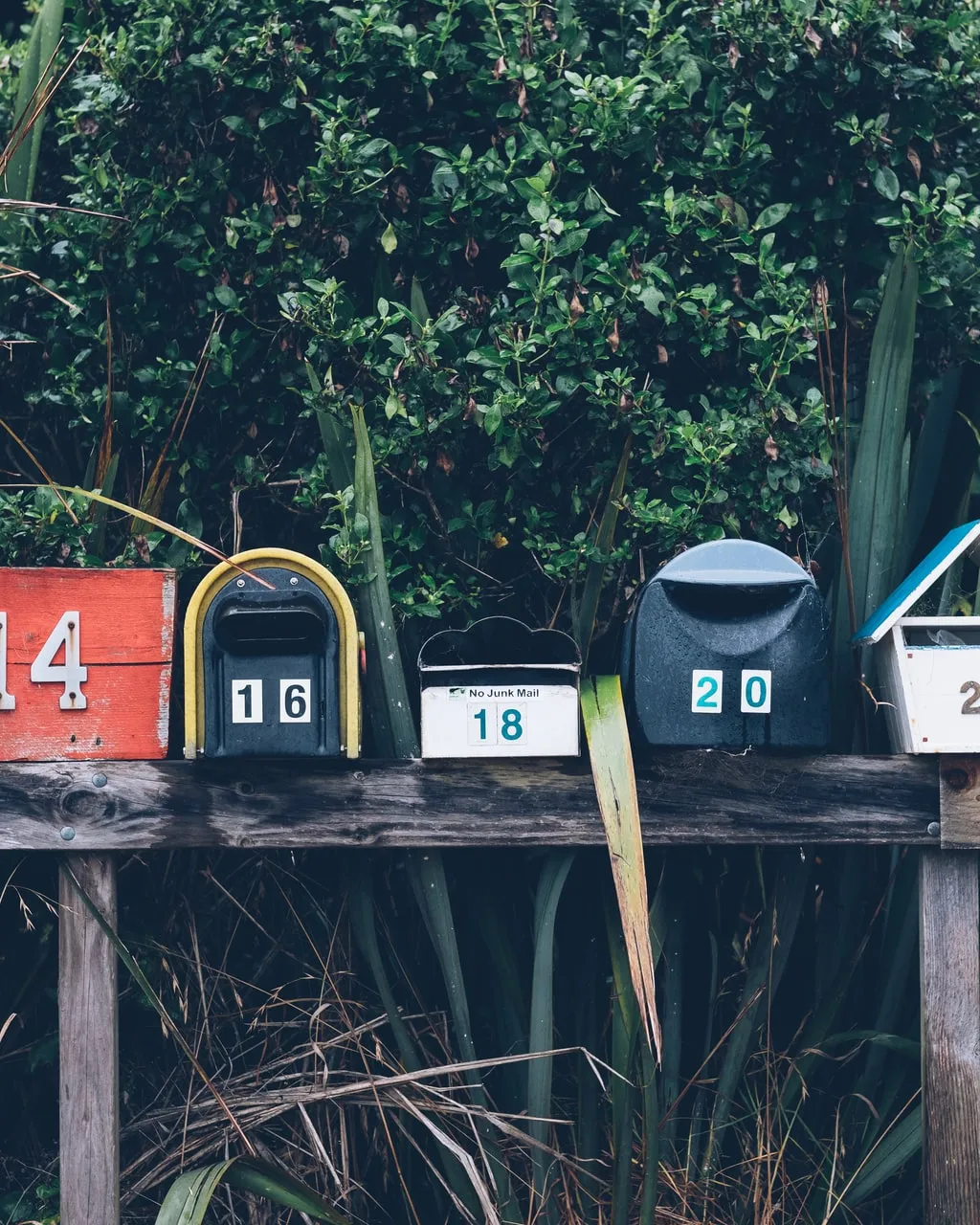 Foto de Mathyas Kurmann a Unsplash