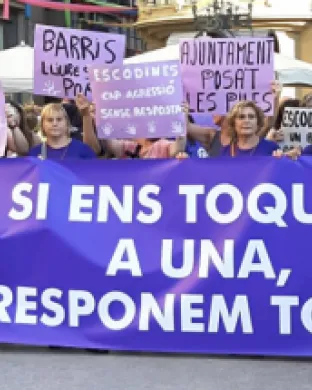 Fragment del cartell oficial de les Jornades: 'Com construir #BarrisVioletes?'. Font: Confederació d'Associacions Veïnals de Catalunya