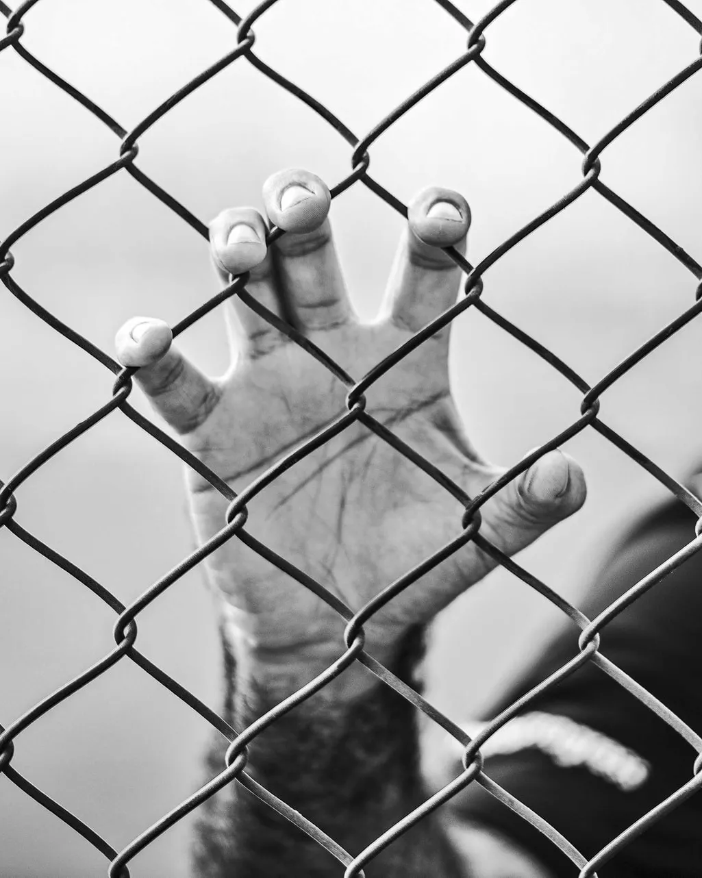 Foto de Milad Fakurian a Unsplash