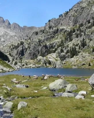 Subvencions a projectes d'investigació científica a la Xarxa de Parcs Nacionals, 2022