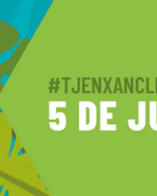 Cartell promocional de la formació d'estiu de Torre Jussana. Font: Torre Jussana
