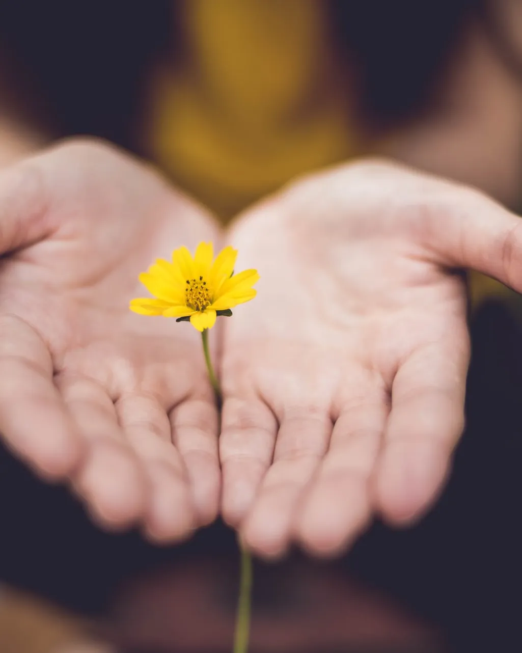Foto de Lina Trochez a Unsplash Foto de Lina Trochez a Unsplash