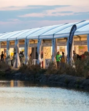 Delta Birding Festival