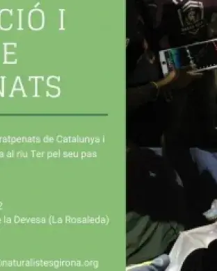 Cartell de la convocatòria de la formació i cens de ratpenats. Font: Associació Naturalistes Girona.
