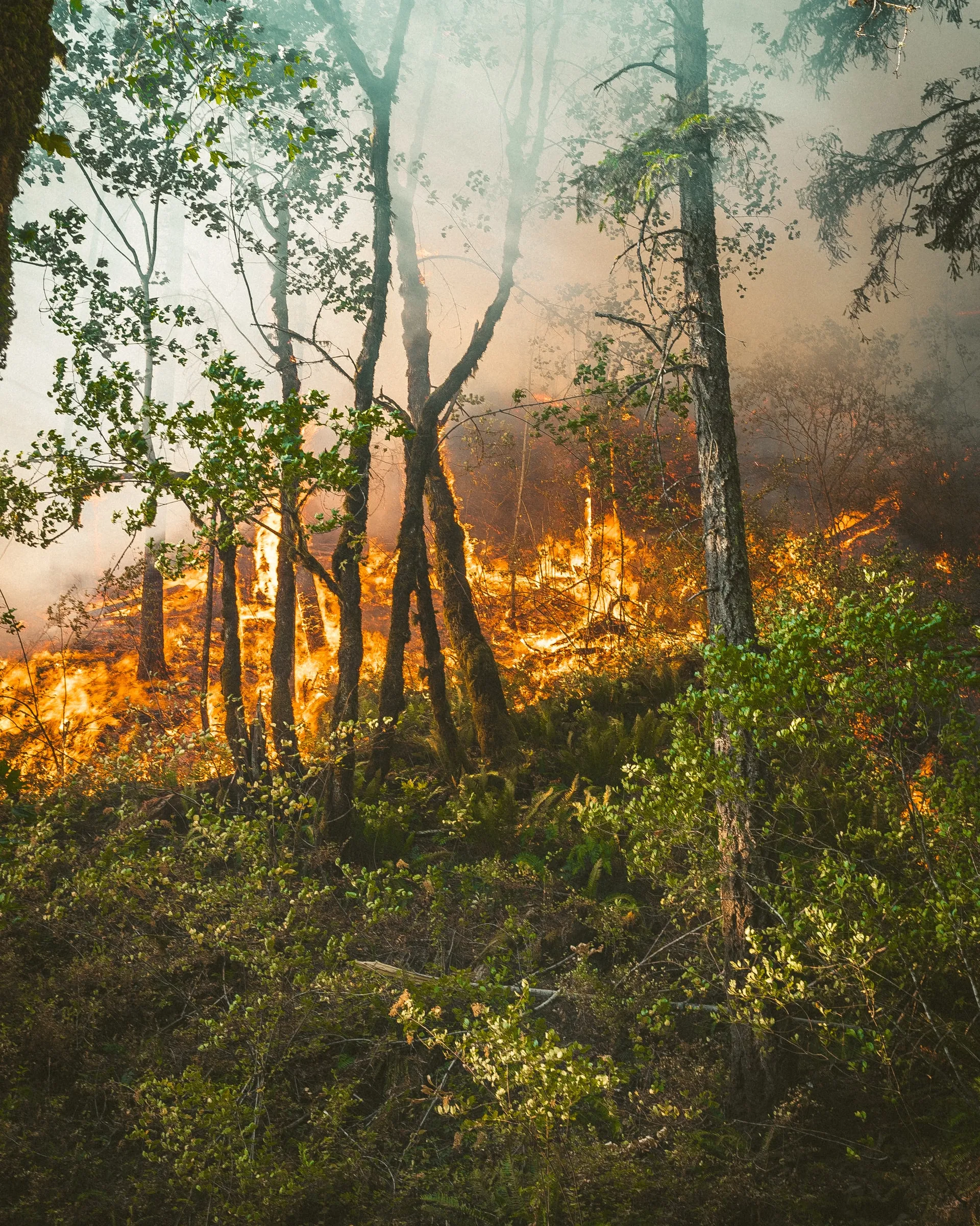 Foto de Karsten Winegeart a Unsplash