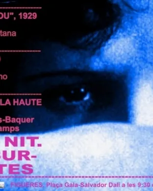 Cartell del Dalí Nocturn. Font: Cineclub Diòptria