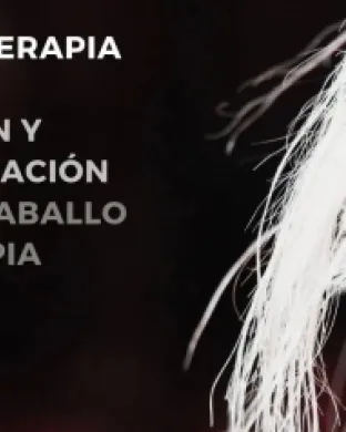 Educación emocional, vínculo afectivo y comunicación con el caballo