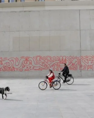Persones en bici per zones urbanes. Font: Antonio Lajusticia Bueno