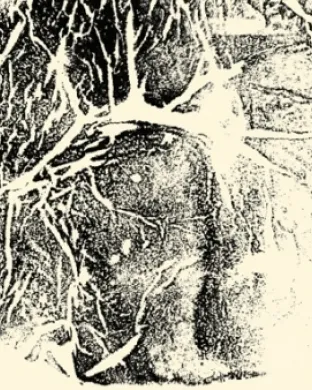 entranyes. Font: Centre LGTBI