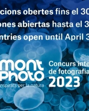 27a edició del Festival MontPhoto. Font: MontPhoto