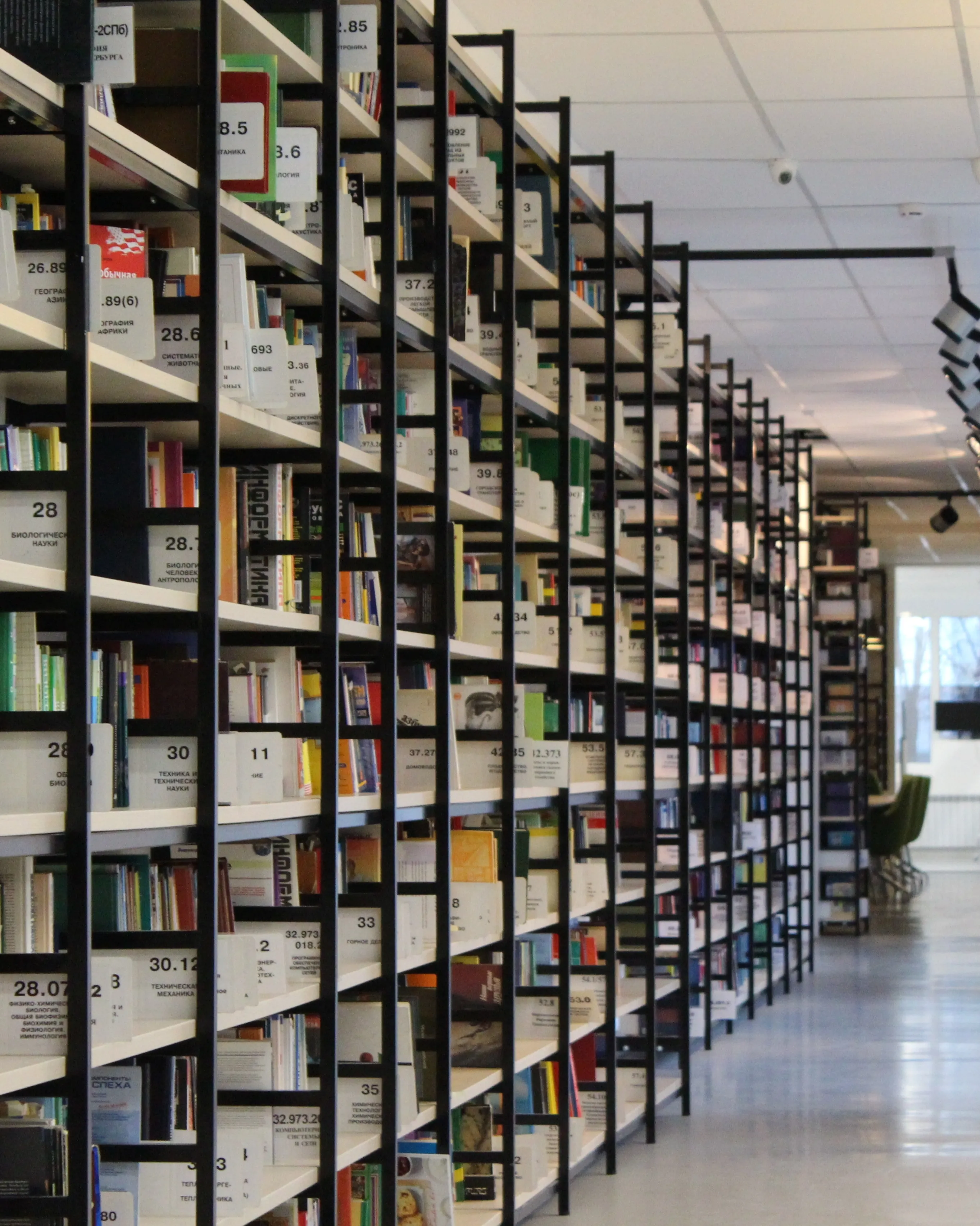 Prestatgeria amb llibres. Font: Pixabay
