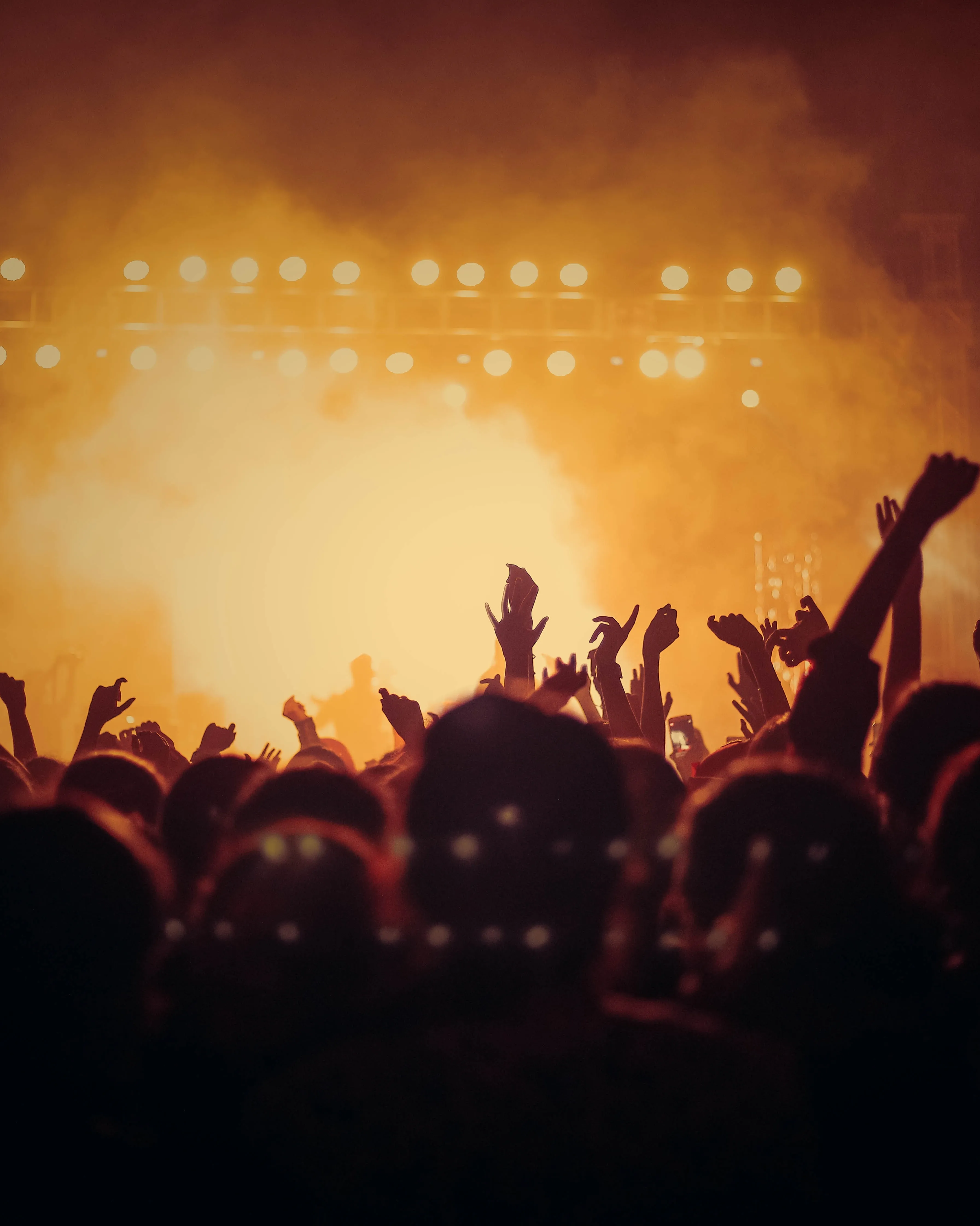 Concert. Font: Pexels - Vishnu R Nair Concert. Font: Pexels - Vishnu R Nair