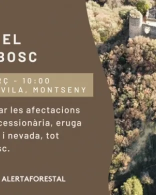 Cartell oficial del taller 'Prenent el pols al bosc'. Font: CREAF