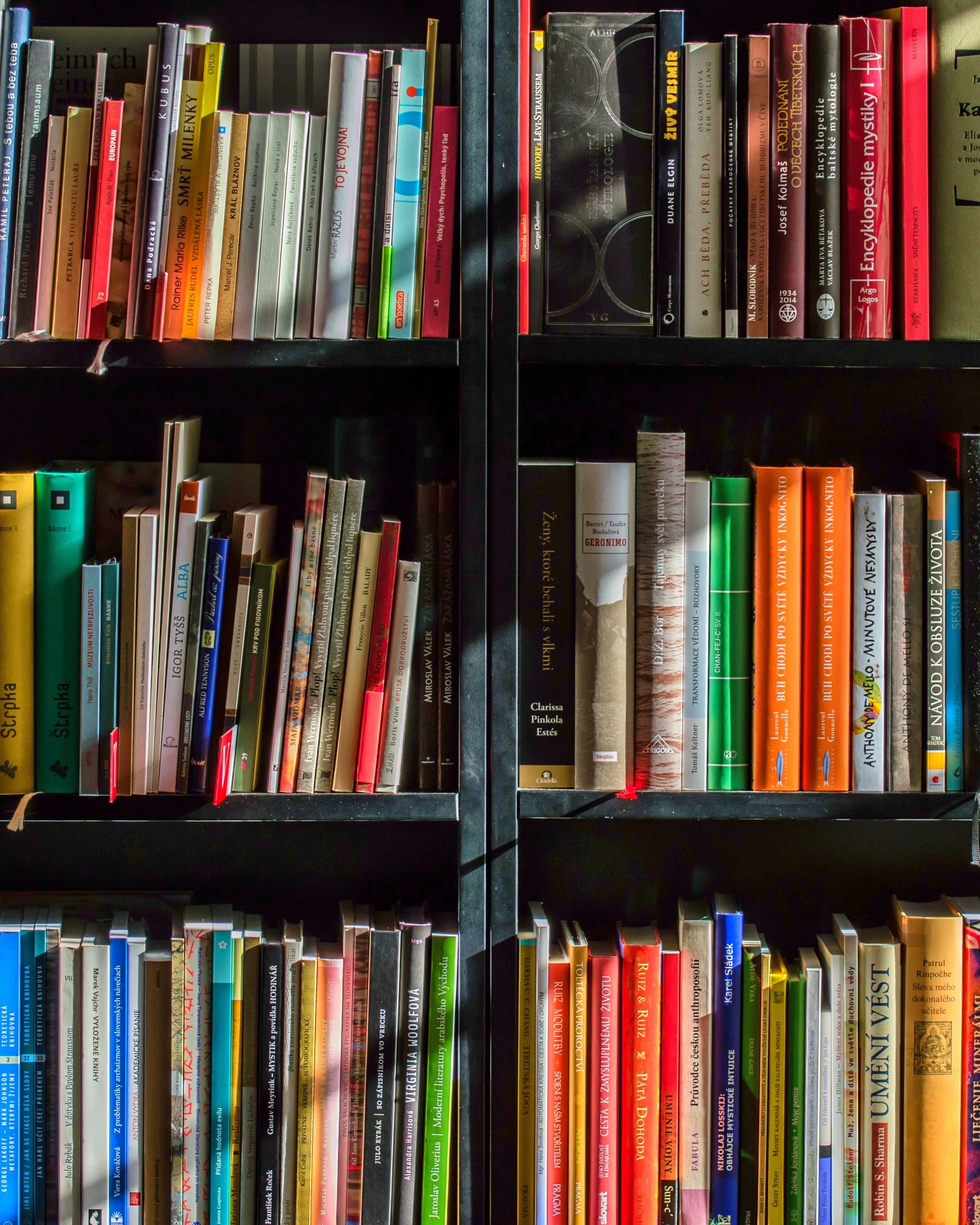 Llibres en una prestatgeria. Font: Pixabay