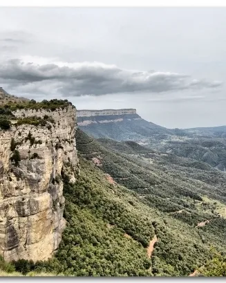 Les Guilleries. Font: Wikipèdia Les Guilleries. Font: Wikipèdia