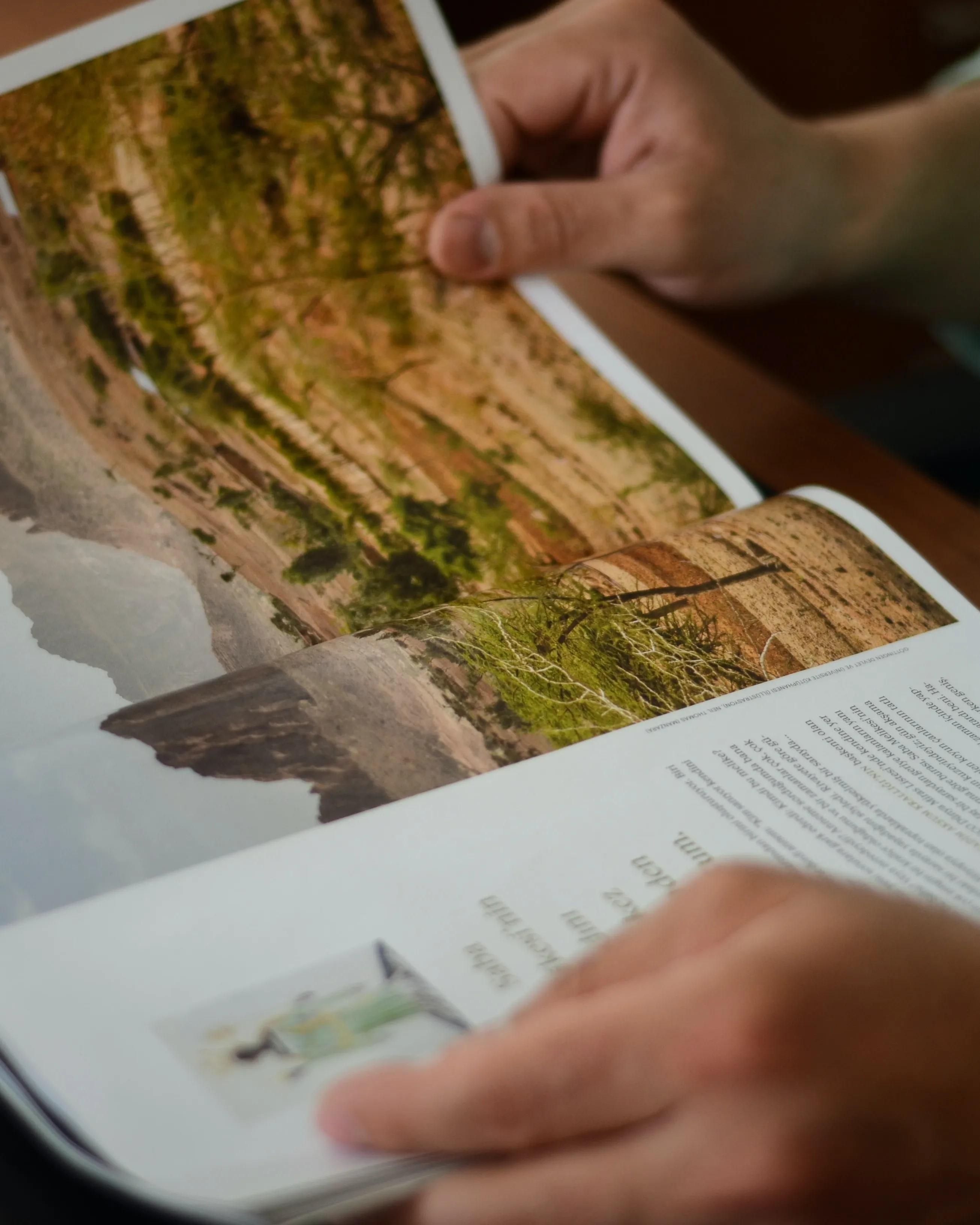 Persona llegint una revista. Font: Pexels - Gül Işık Persona llegint una revista. Font: Pexels - Gül Işık