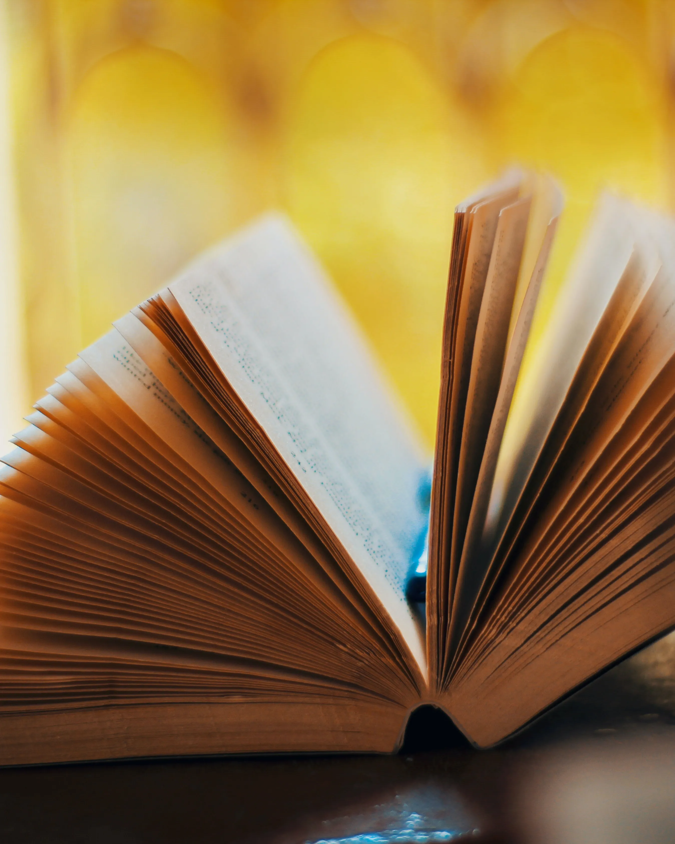 Llibre amb les pàgines obertes. Font: Pexels - Sumit Mathur