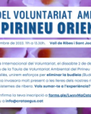 Fragment del cartell oficial de la Festa del Voluntariat Ambiental del Pirineu Oriental. Font: Associació Crataegus