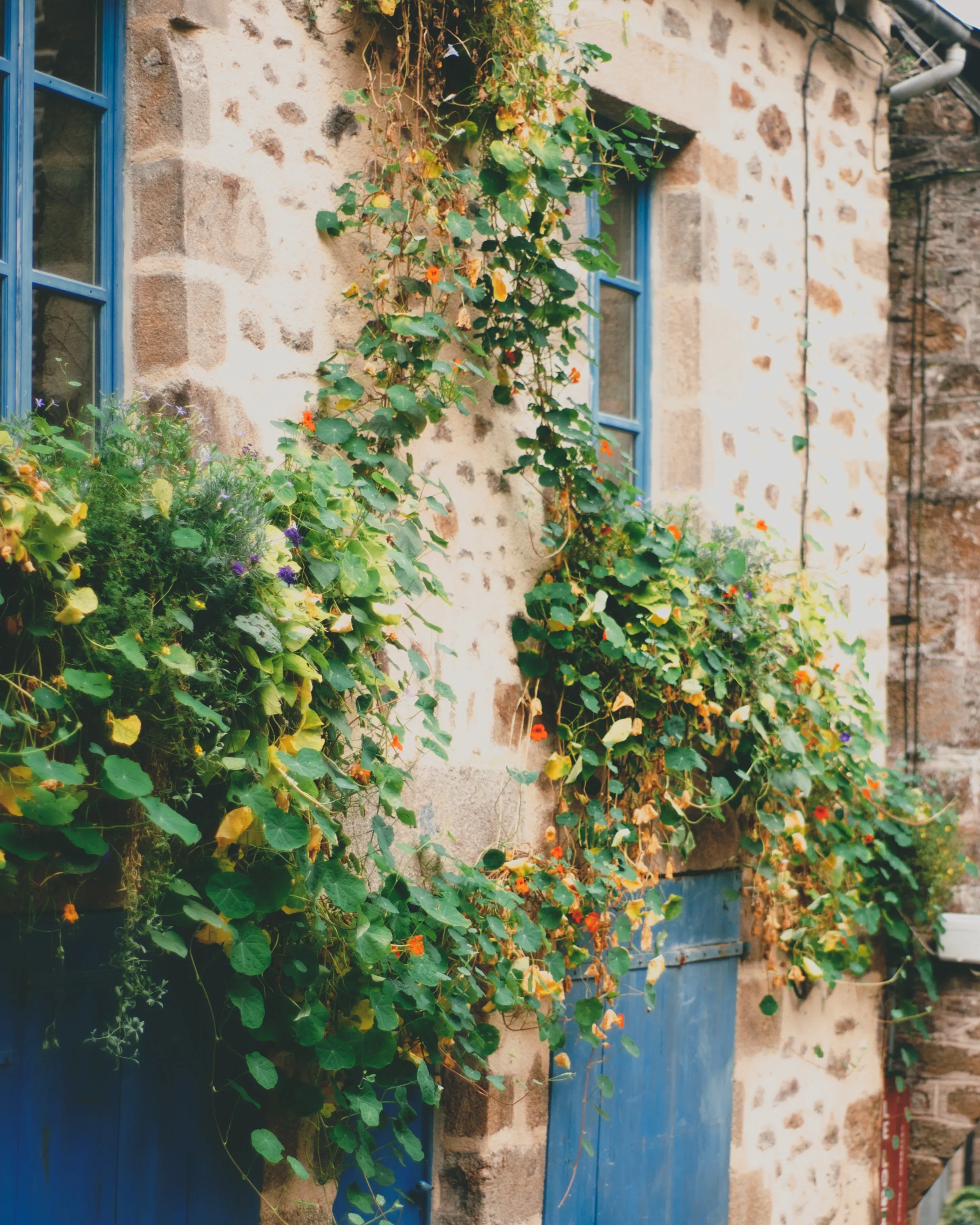 Casa d'un poble de muntanya. Font: Pexels - Maria Orlova Casa d'un poble de muntanya. Font: Pexels - Maria Orlova
