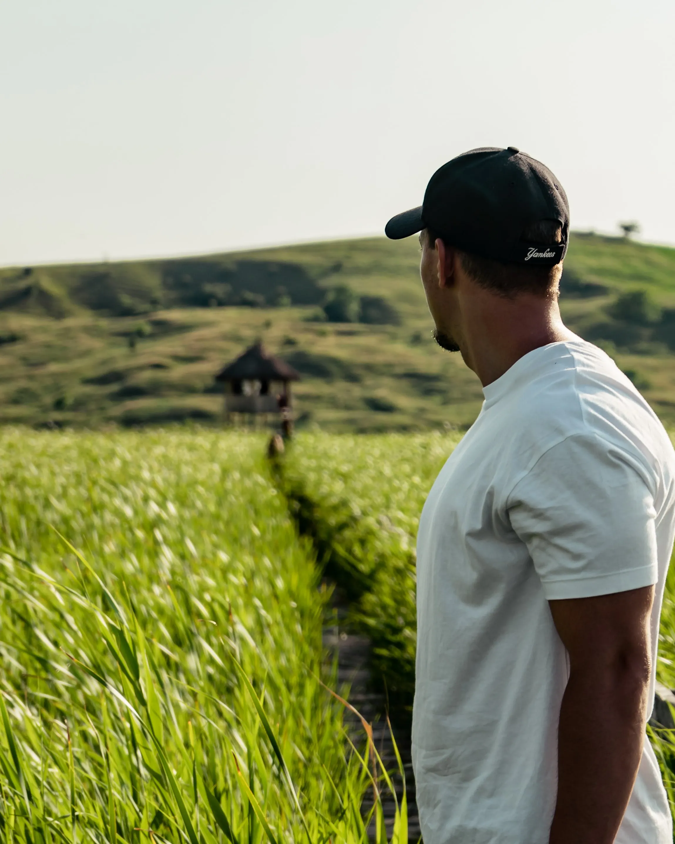 Noi mirant un camp de blat. Font: Pexels - Vlad Chețan