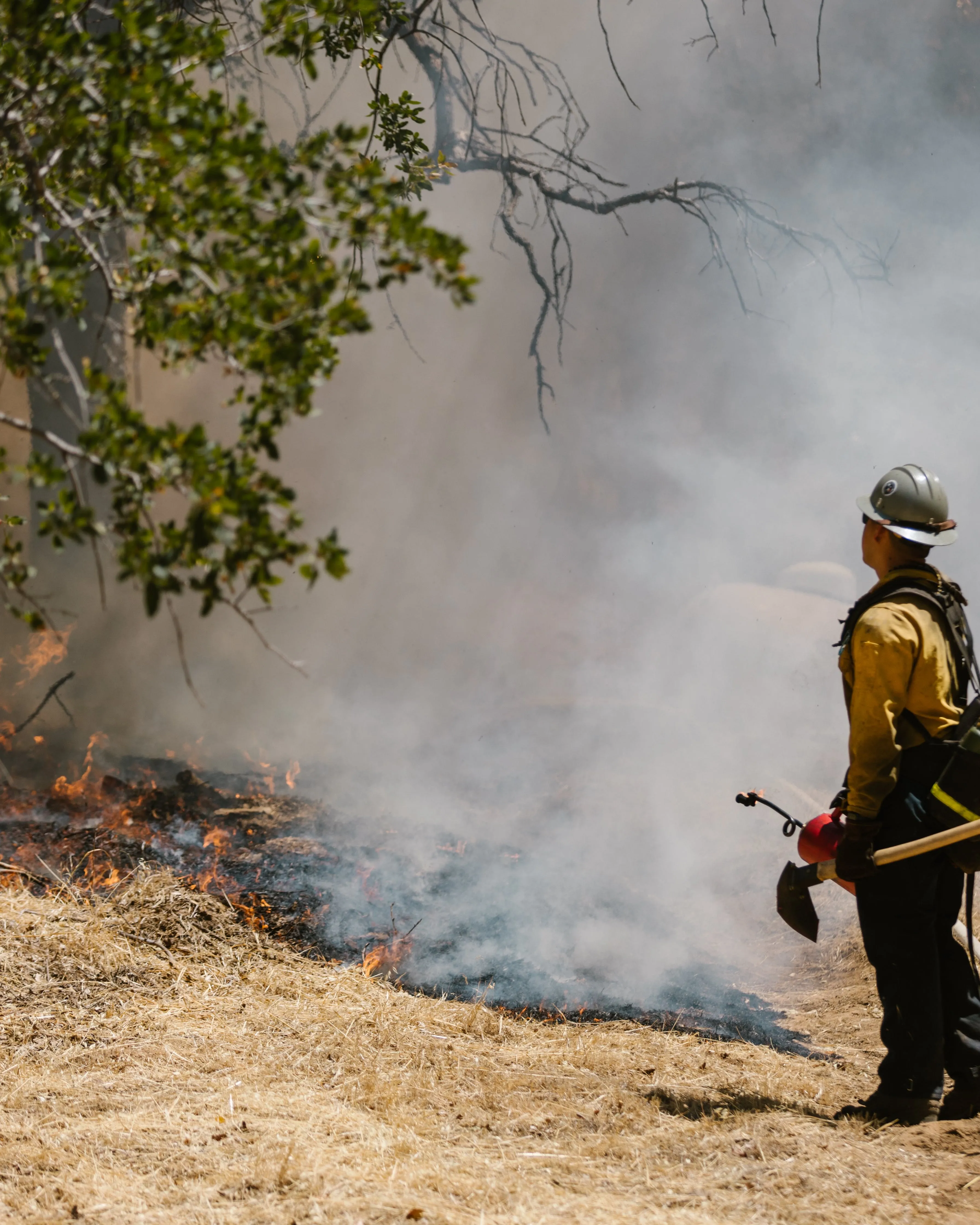 Control de foc forestal. Font: Pexels - RDNE Stock project