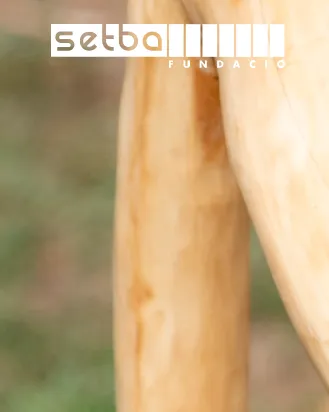 Logotip Fundació SETBA