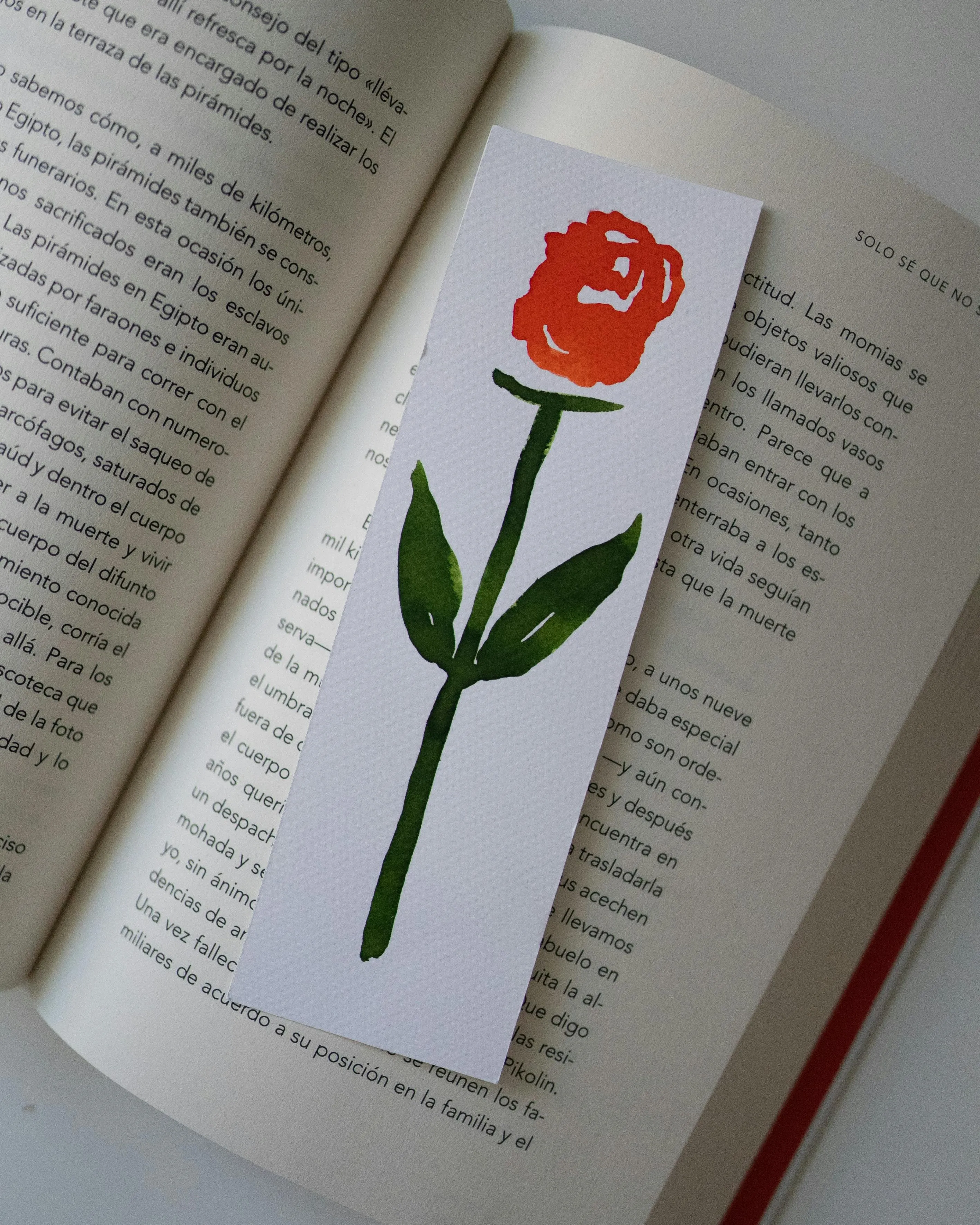 LLibre amb punt de llibre de rosa. Font: 