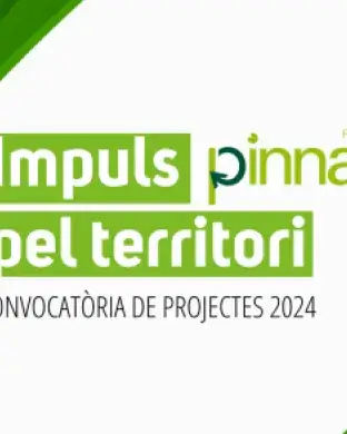Banner de la convocatòria 'Impuls pel territori' 2024. Font: Fundació Pinnae 